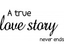 A True Love Story Quotes Wall Decal Love Vinyl Art Stickers